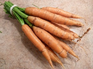 Fresh Carrots from the Market