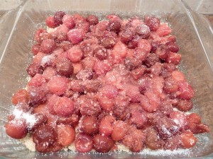 Cherry Oatmeal Squares - the fruit