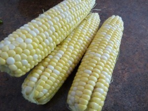Cooking Corn on the Cob