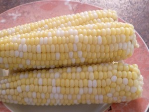 Cooking Corn on the Cob