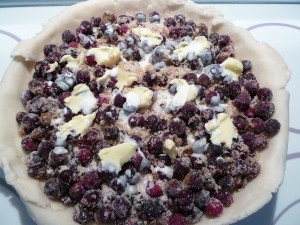 saskatoon berry - pie filling