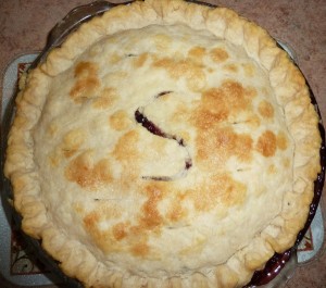 saskatoon berry pie