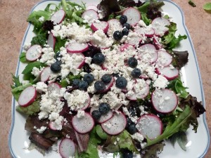 Blueberry and Radish Salad