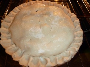 Blueberry Pie - uncooked