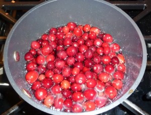 Cranberry Sauce - add cranberries to sugar/water mixture