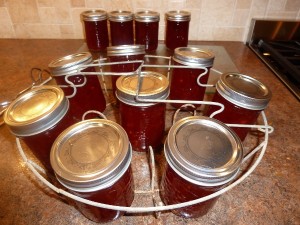Red Pepper Relish - canner rack