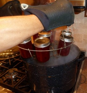 Using oven mitts, lift the rack into the boiling water.