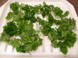Dry Fresh Spices - parsley