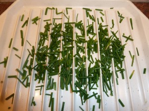 Dry Fresh Spices - Chives