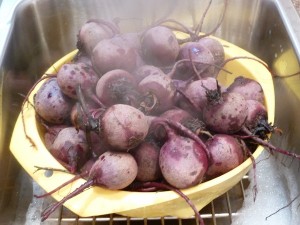 Pickled Beets - preparing the beets