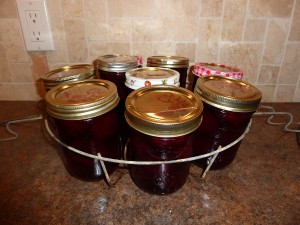 Pickled Beets - place the jars in the immersion holder