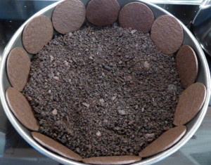 Chocolate Toffe Cheesecake - arrange the base
