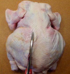 Butterflied Chicken - cut out the backbone