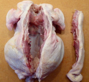 Butterflied Chicken - backbone removed