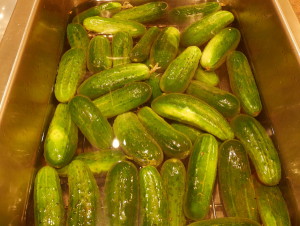 Nine Day Pickles - wash