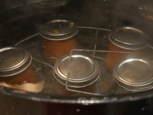 chili sauce canning in boiling water bath