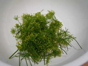fresh dill from the local farmers market
