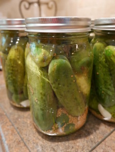 garlic dill pickles - in jar before canning