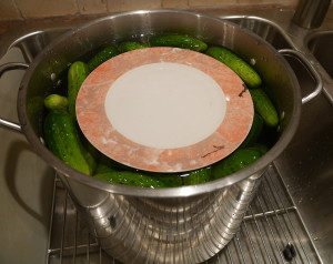 garlic dill pickles - lid